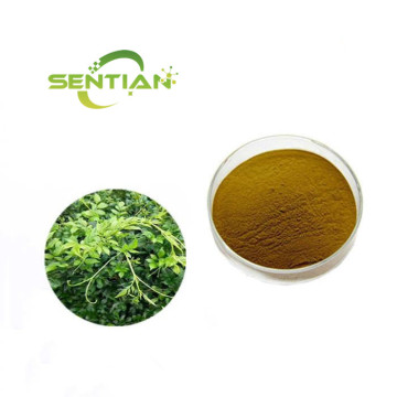 Antioxidant Vine Tea Extract Powder