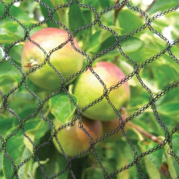 Polypropylene Anti Bird Nets