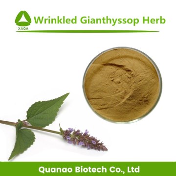 GIANTHYSOP orgánico Agastache Extracto de Rugosa Pogostemonis