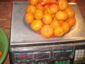 Nanfeng bayi mandarin segar 35-40mm