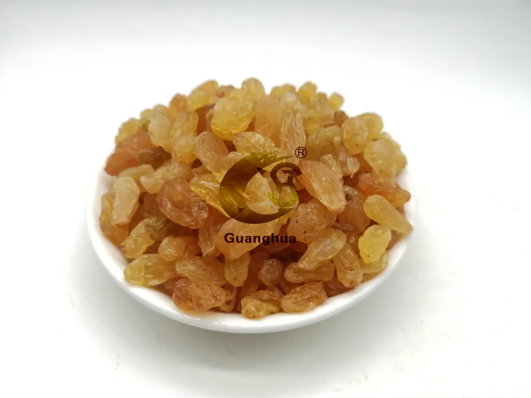 Hot Sale Golden Raisin Red Raisin Green Raisin Natural Taste