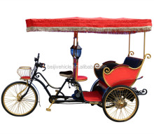 Hot Sale Sightseeing Electric Rickshaw/Electric Tricycle/E-Rickshaw Spare Parts