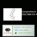 CAS: 19685-09-7 Verkaufen Hochreine 99,5% Anti Krebs Material Camptothecin