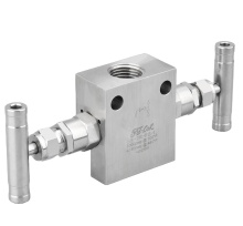 6000PSI High Pressure Two Valve Manifolds for Gauge