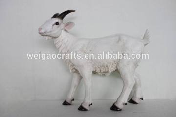 mountain goat,goat decoration,high quality goat