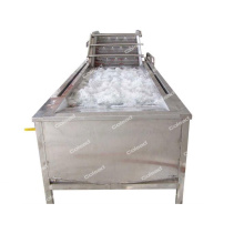Vegetable Water Bubble Washing Machine for food industry
