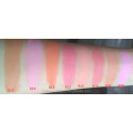 Palette de blush 6 couleurs