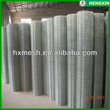 Cheap Welded Wire Mesh On Sale