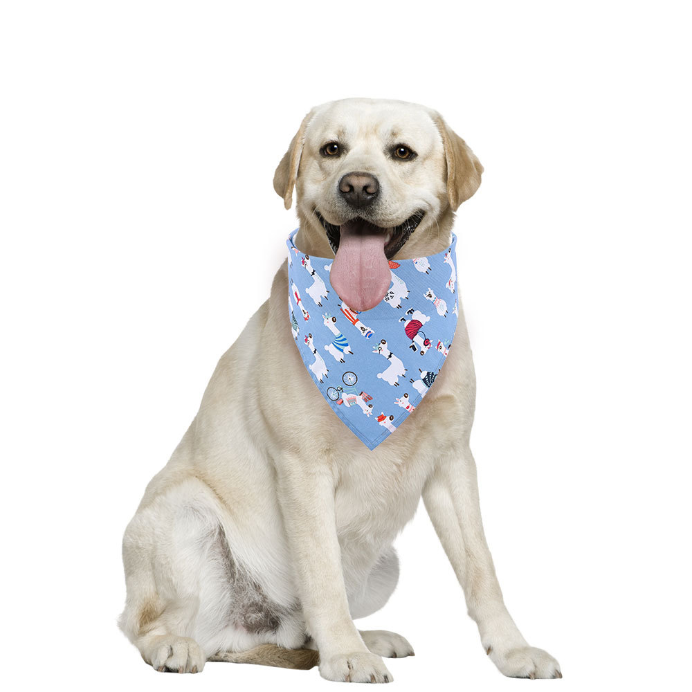 New Pet Triangle Scarf Summer Fruit Pattern Small Fresh Dog Saliva Towel Pet Scarf In Stock