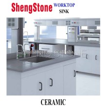 Research laboratory - ceramic mesa