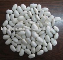 Supply china large white beans