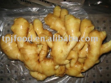 fresh ginger fat