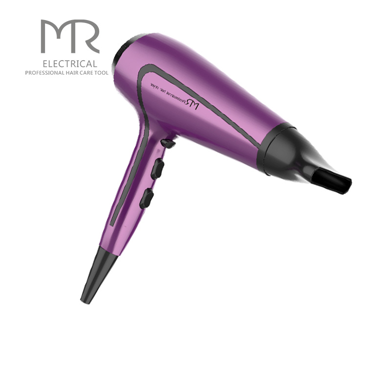 Salon /Household High Powerful Professional Hair Dryer