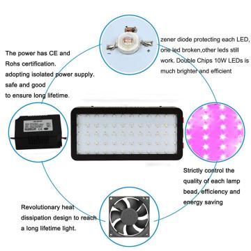 Luz LED de cultivo de 600W para plantas de interior