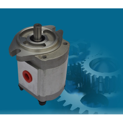 Long-life hydraulic gear pump