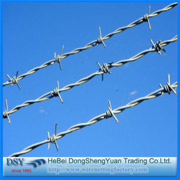 Professional Galvanized Barbed Wire