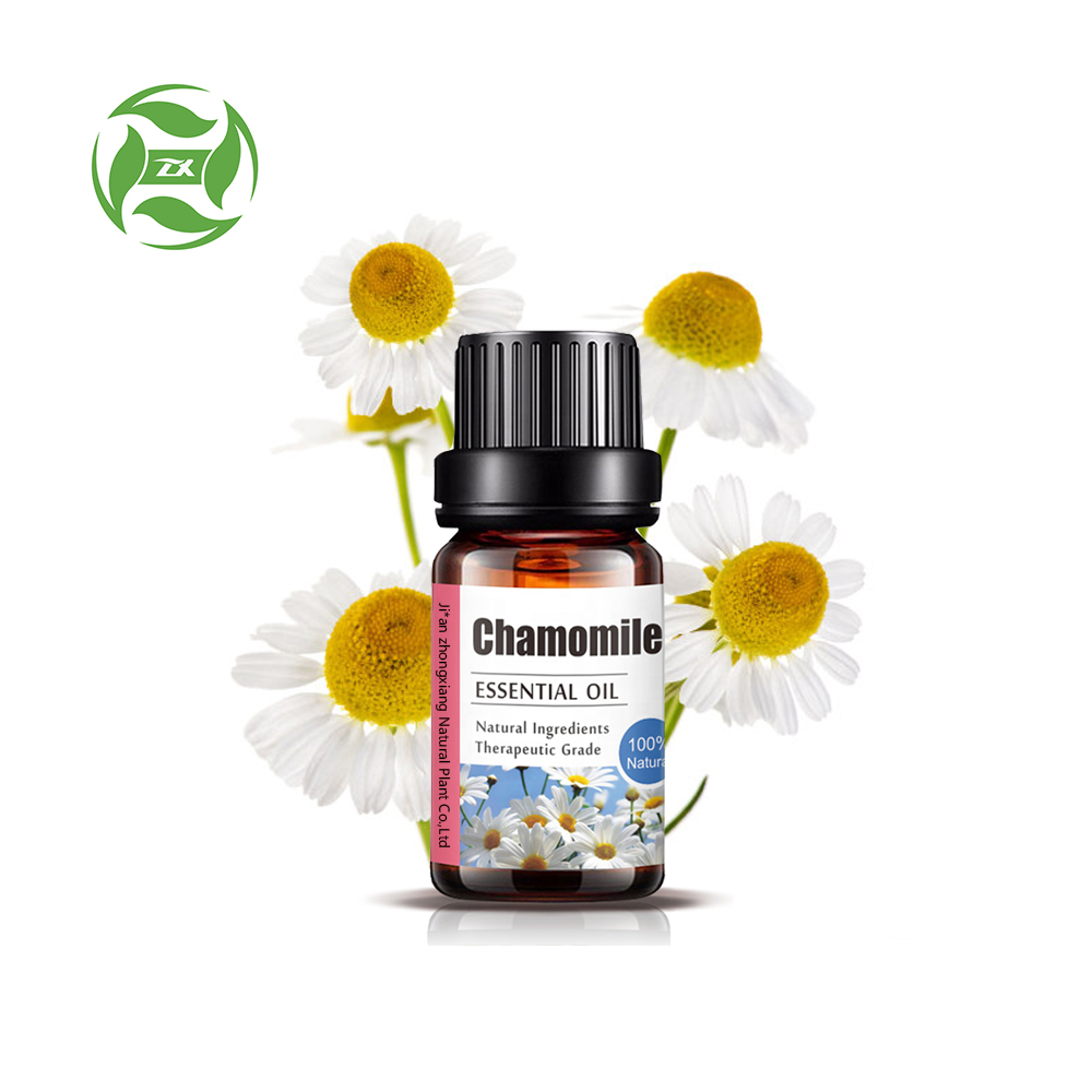 Pasokan pabrik 100% Minyak Esensial Chamomile Murni