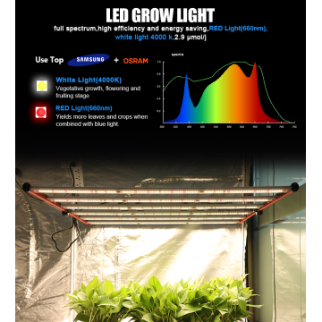 650W調光可能な高出力LED Grow Light Bar