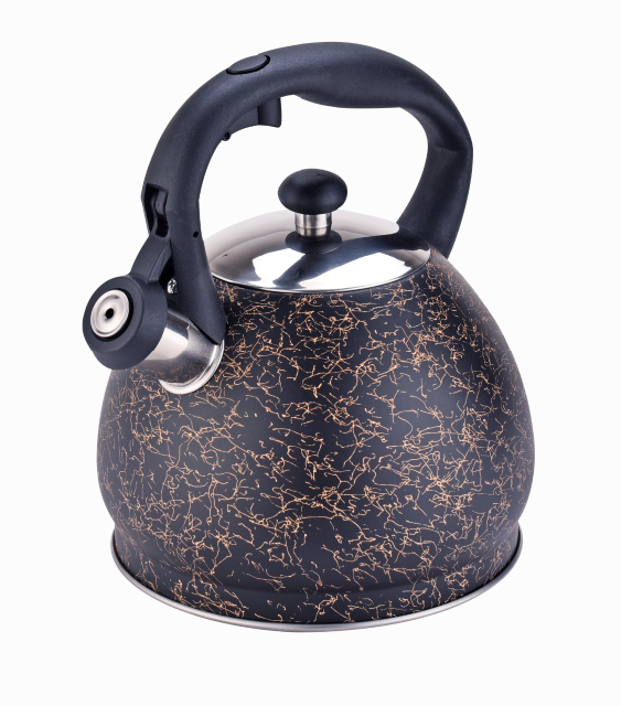 SS Stovetop Tea Kettle