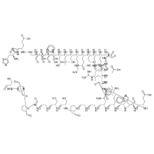 높은 명세 Exenatide 아세테이트 CAS 141732-76-5