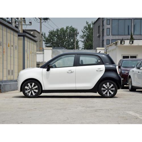 Belle et belle voiture électrique