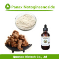 Radix Panax notoginseng pó melhorando a imunidade