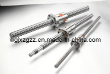 Precise Ball Screw (SFU1604)