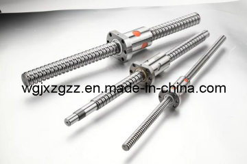 Precise Ball Screw (SFU1604)