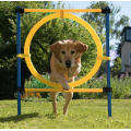 Equipo de entrenamiento de ejercicios de agilidad para perros