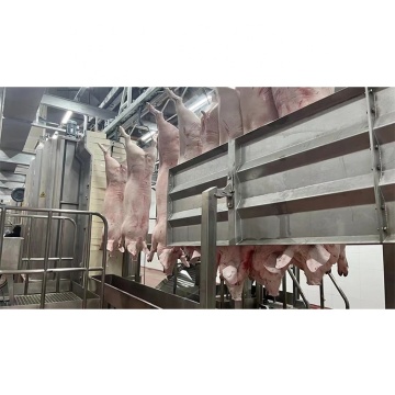 Complete Mini Pig Slaughter and Processing Line