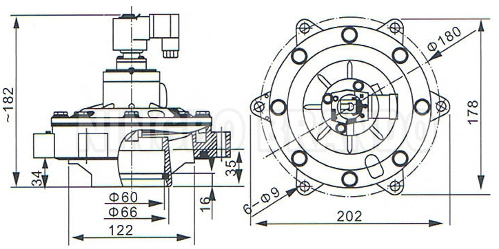 BG50MM LOGO