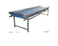 Blueberry and Strawberry Sorting and Grading Machine