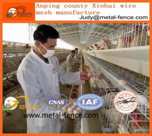 High quality layer chicken cage / Poultry cage / farm cage