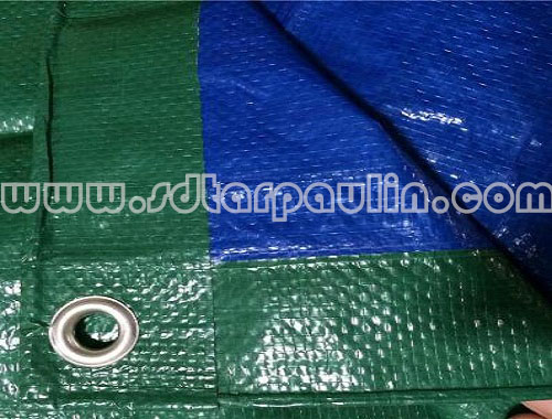 Lona de PE PE Tarpaulin