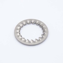 Internal Serrated Lock Washer
