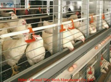 Nipple Drinking Line With Nipple And Cup  