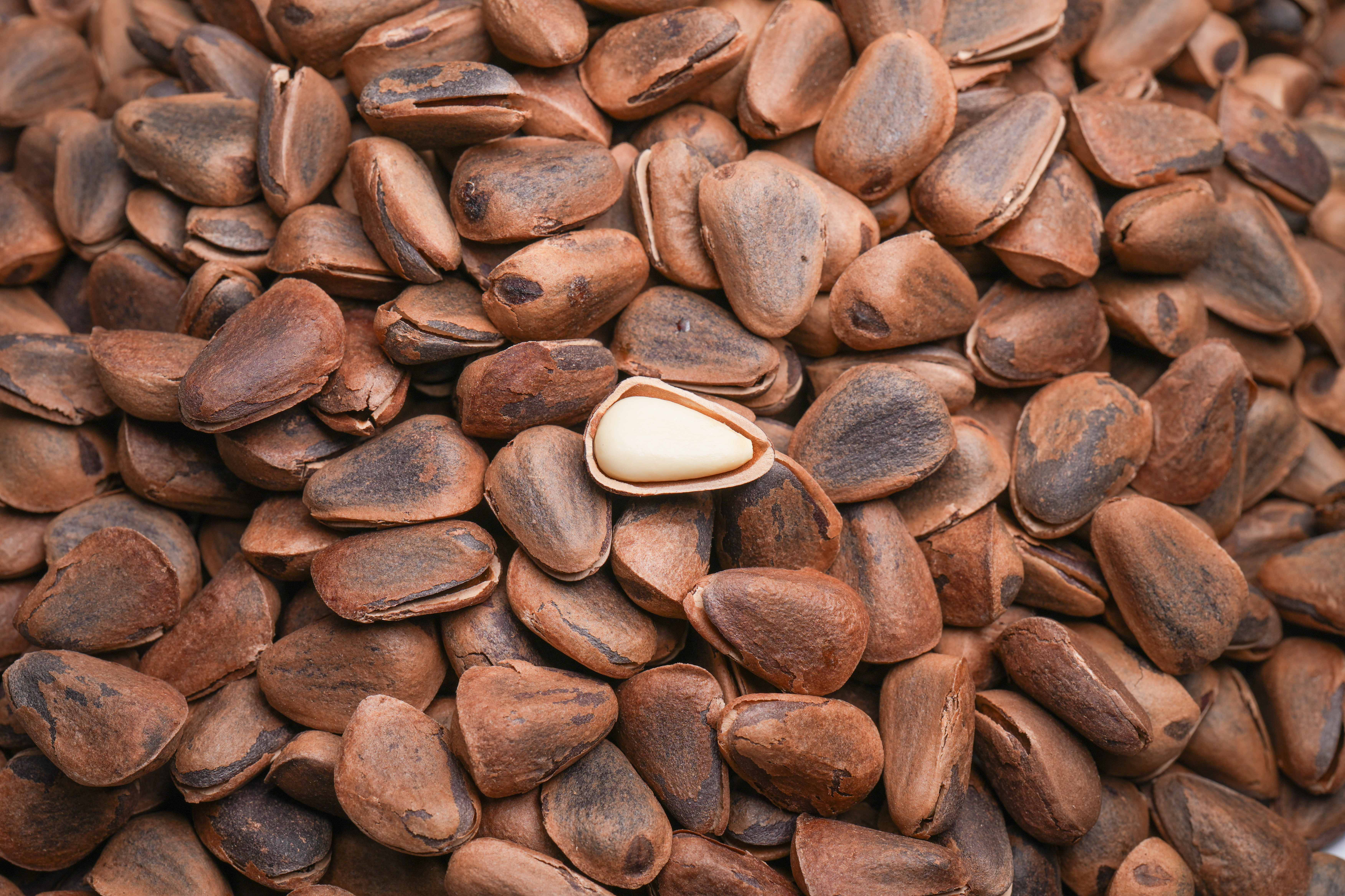 Hạt thông nướng thơm ngon Delicious Roasted Pine Nut