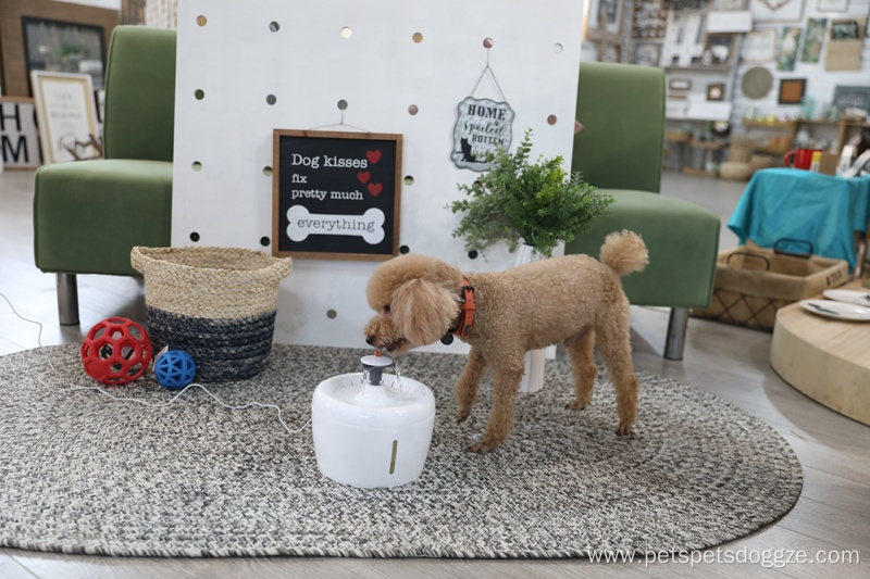 New design style automatic pet waterer bowl