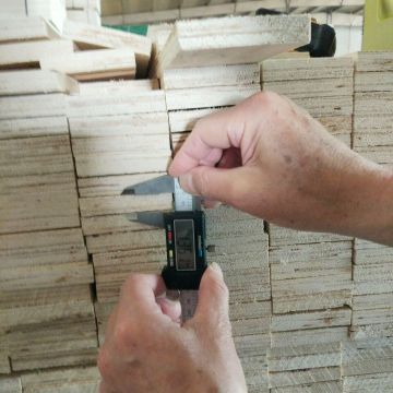 Poplar LVL Timber Wood