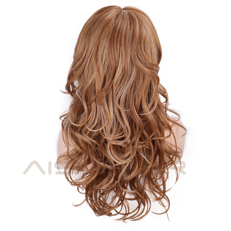 Aisi Hair Long Wavy Hair Brown with White Color Synthetic Wigs High Temperature Fiber Fashion Cosplay Wigs for Women