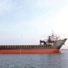 Bulk Carrier Vessel Search Engine