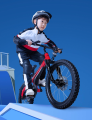 NeufBot 18 pouces enfants vélos sport vélos enfants enfants