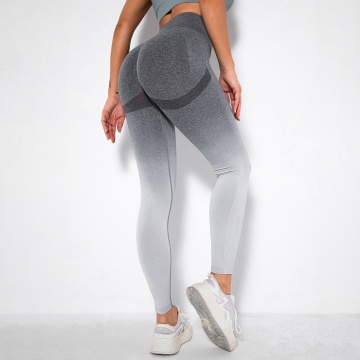 leggings deportivos de cintura alta sin costuras