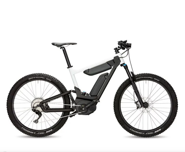 Wholesale OEM Electric Bicycle with Two Battery with En Standard