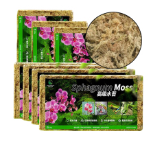 Best Price Dried Sphagnum Moss for 5-Star Terrarium Gardening