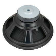 12 Inch Professional Audio PA Speaker - 200W Max