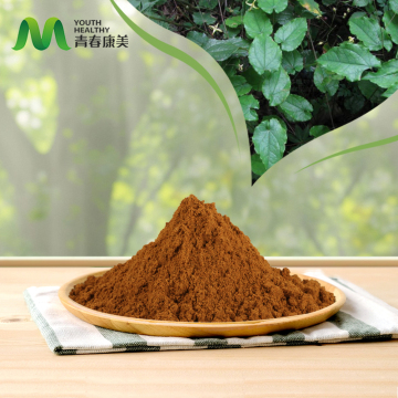 Man Health Raw Material Epimedium Extract Powder
