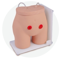 Fistula Ostomy Nursing Model