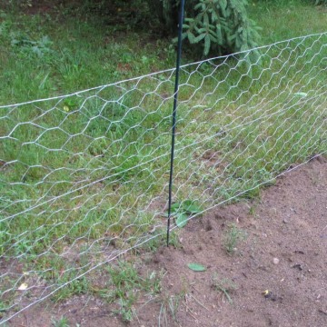 Black Vinyl Coated Chicken Wire Netting