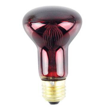 Bóng đèn LEDER 40W màu đỏ sáng nhất